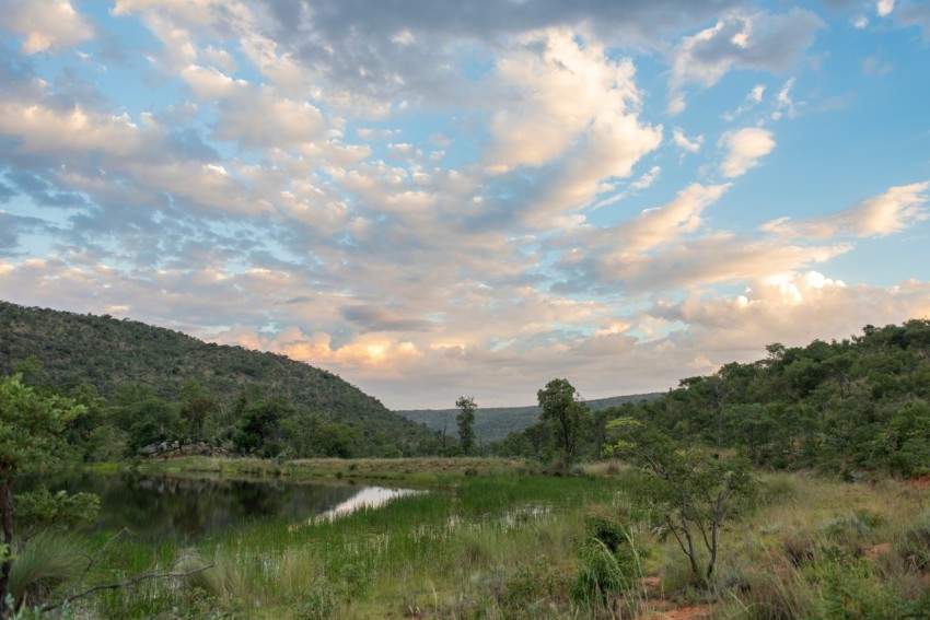 a river surrounded by lush green trees under a cloudy sky