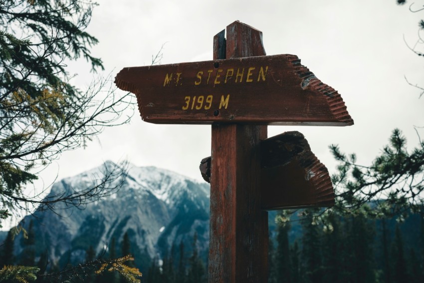 a wooden sign with a mountain in the background