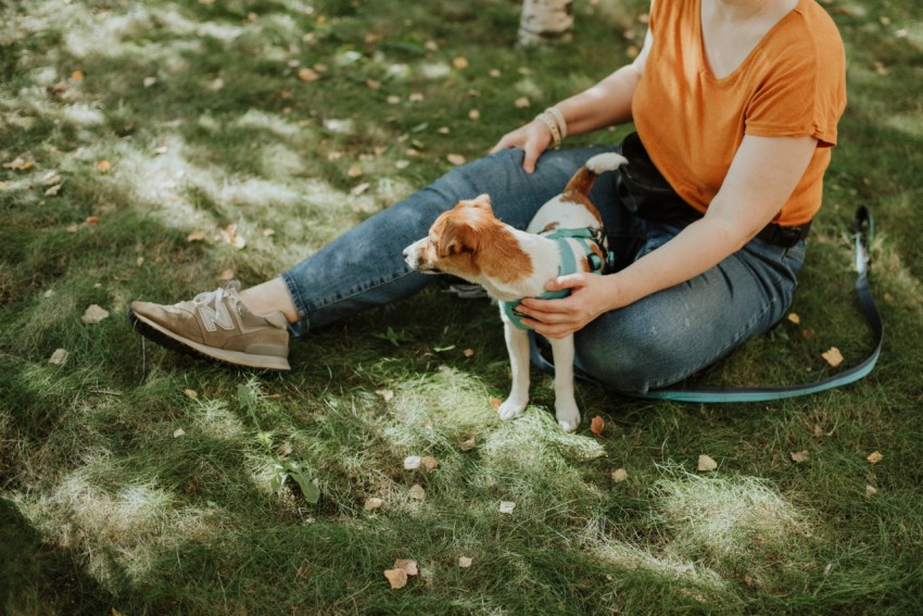 woman in brown shirt sitting beside white and brown short coated dog