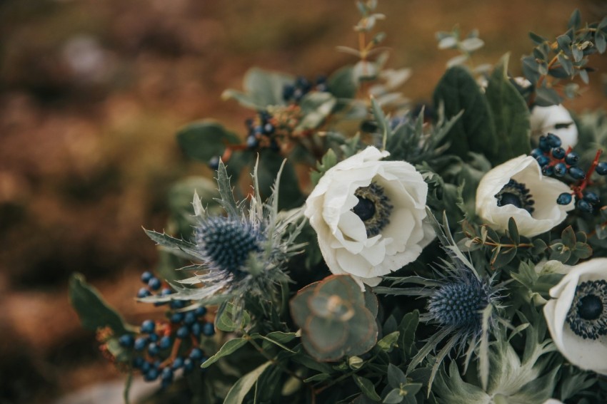 a bouquet of white and blue flowers in a vase