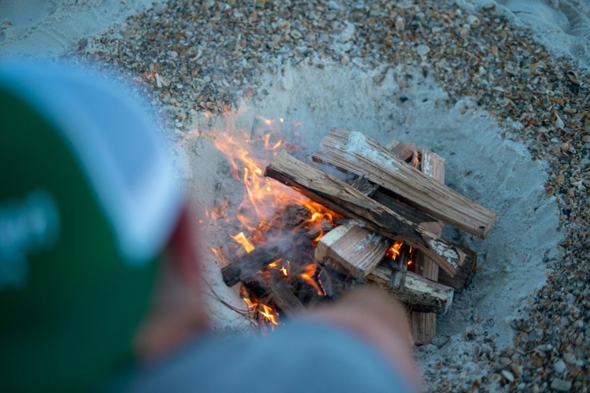 fire woods on gray sand 5