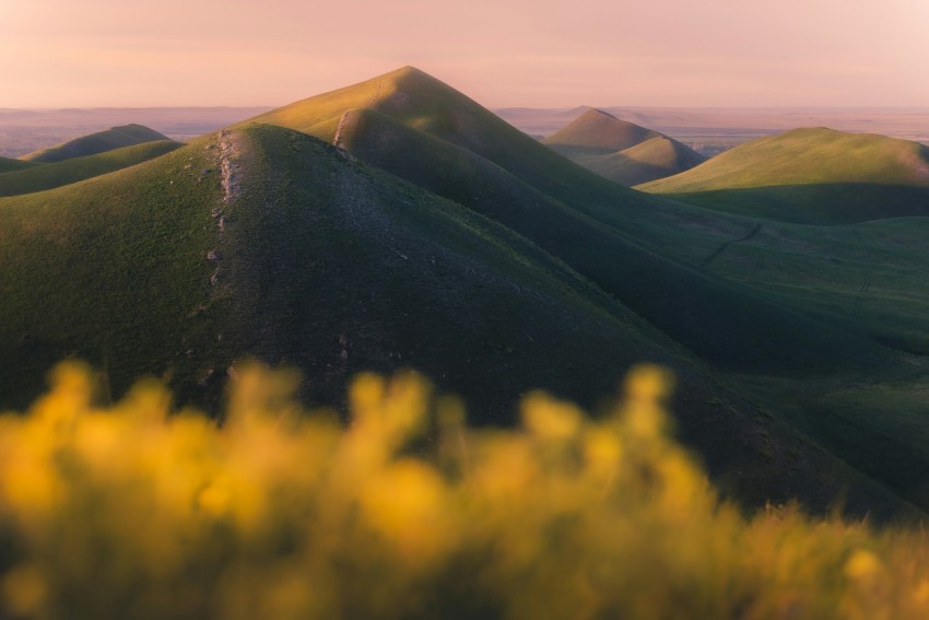 a view of a grassy hill with yellow flowers in the foreground 1bRtt4