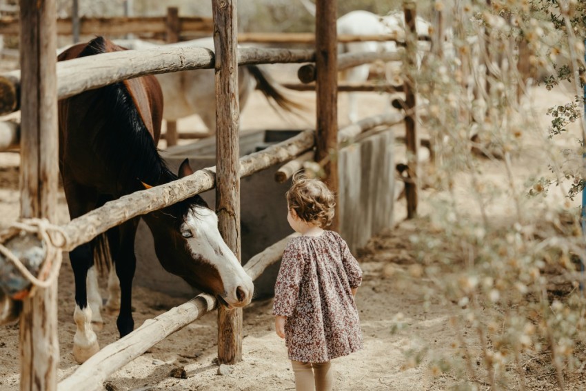 a little girl standing in front of a horse feG