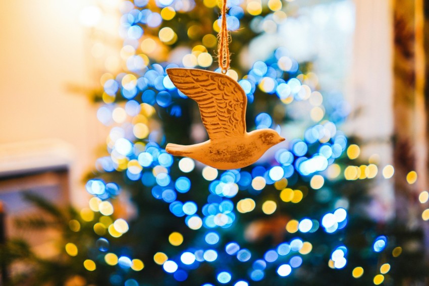 brown star hanging ornament in bokeh photography