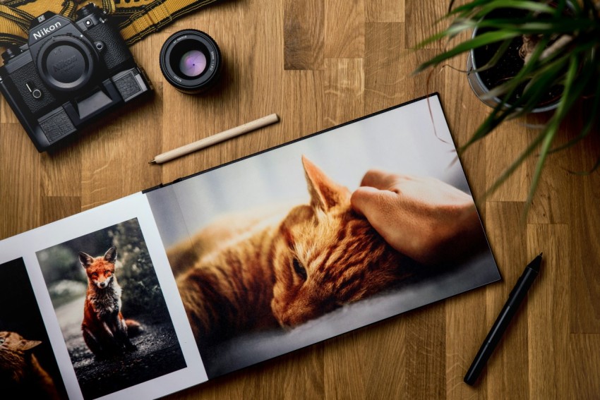 orange tabby cat on brown wooden table