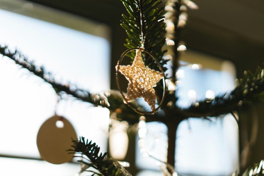 a star ornament hanging from a christmas tree