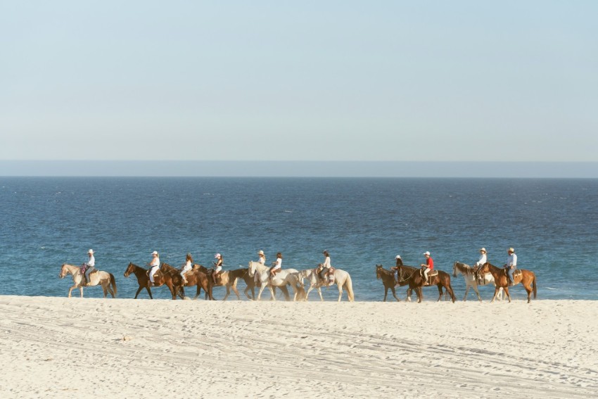 a group of people riding horses on the beach Iym