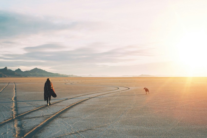 a person walking a dog on a road in the desert