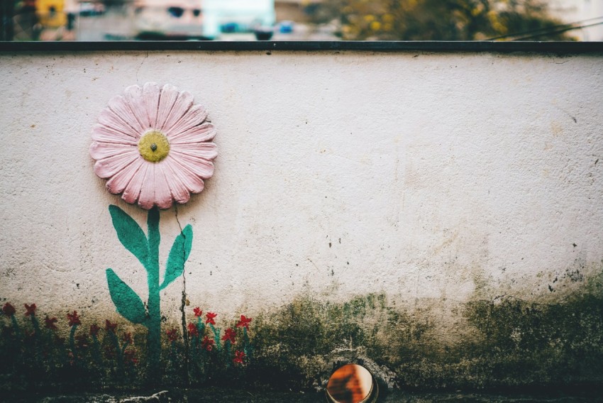 rule of thirds photography of pink flower art 8CSsTu