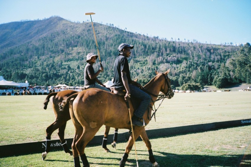 a couple of people riding on the backs of horses DCPI