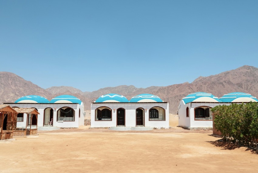 white and blue concrete building during daytime