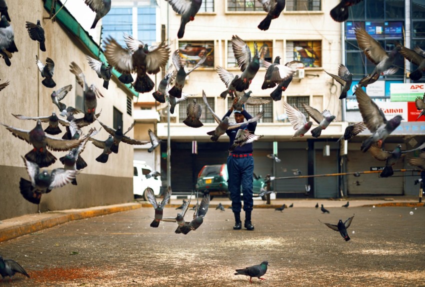 a man standing on a sidewalk surrounded by birds 8yz6SAGOZ