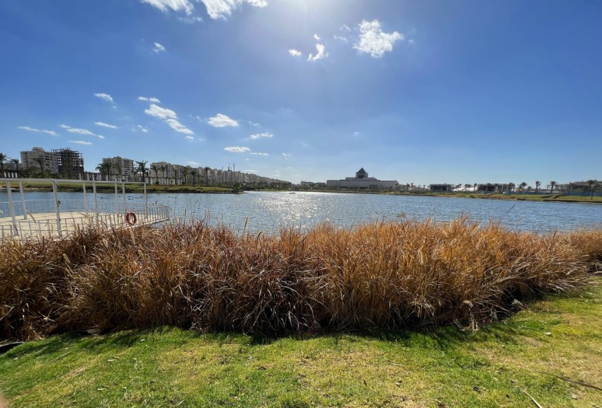 a large body of water sitting next to a lush green field