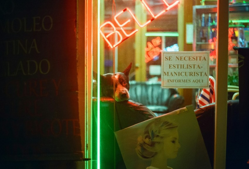 a neon sign in the window of a store