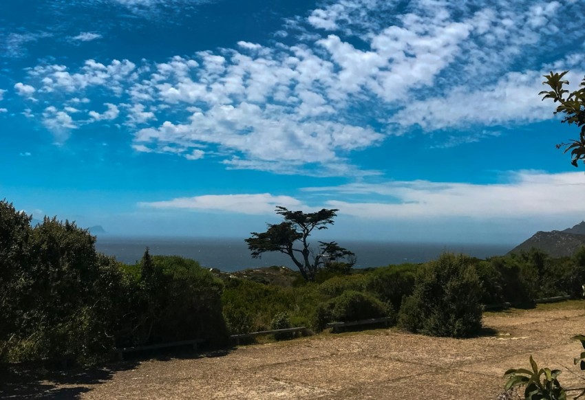 a view of the ocean from the top of a hill