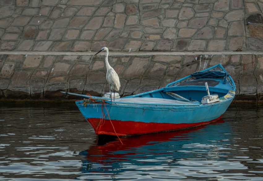 a bird on a boat