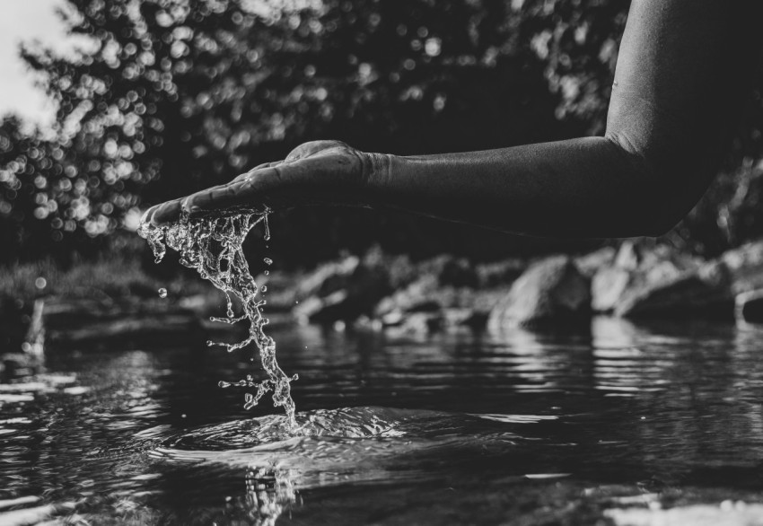 grayscale photo of woman