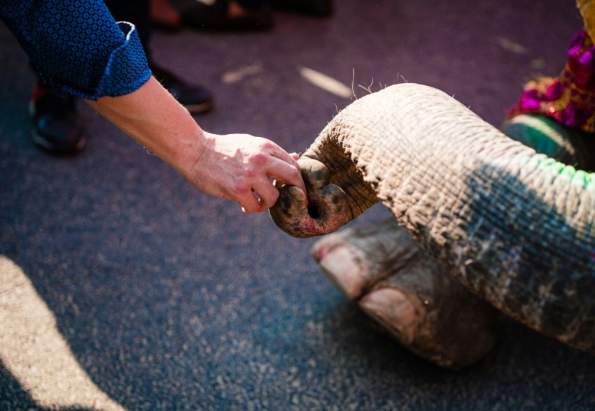 a person holding a snake