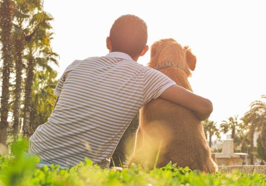 man in white and black striped shirt holding brown short coated dog