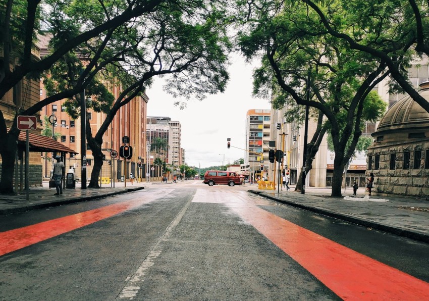 red car on road near trees during daytime