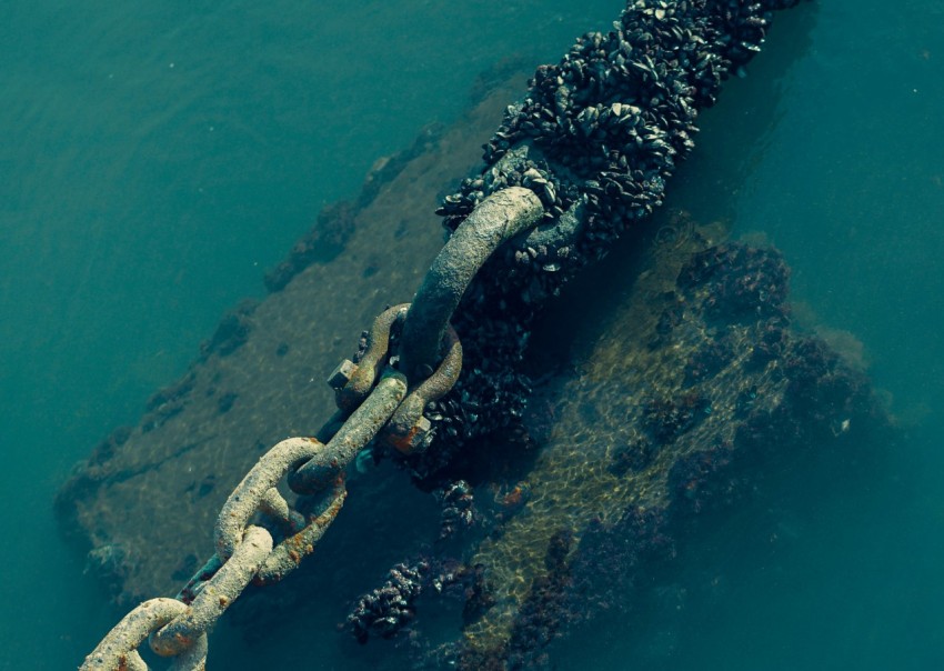 a chain attached to a boat in the water