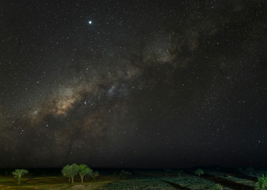 green grass field under starry night