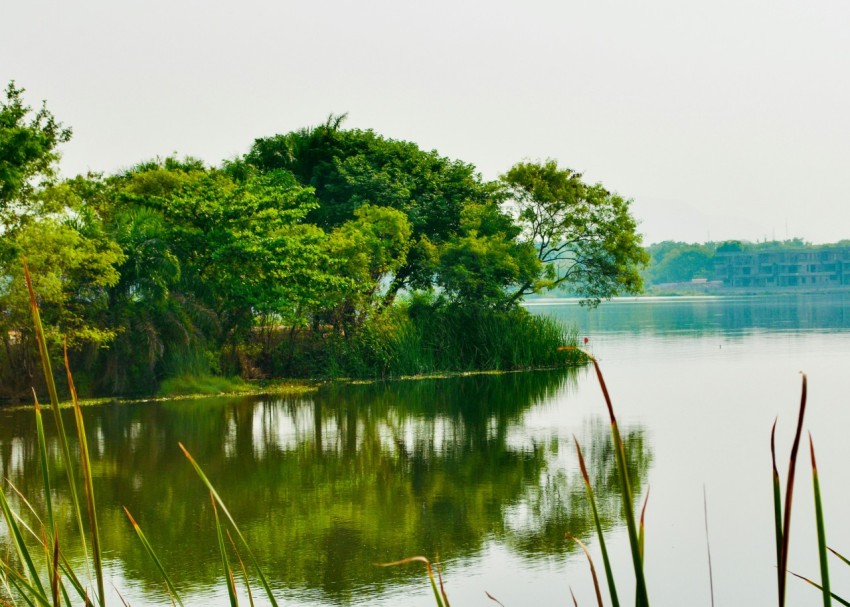 a body of water surrounded by trees and grass h