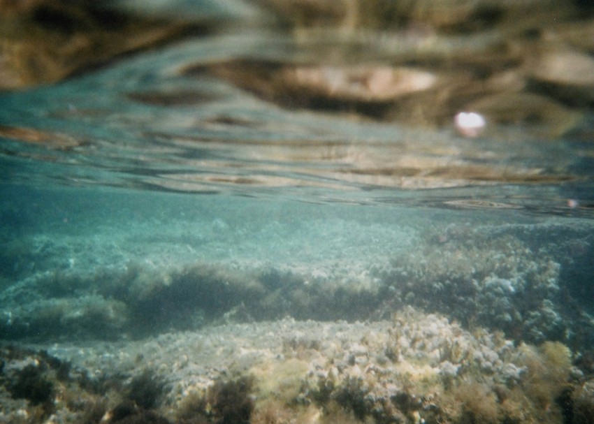 close up photo of water