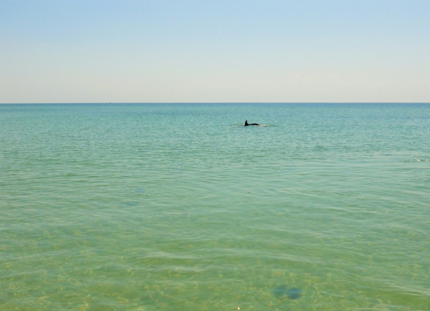 a body of water with a boat in the distance