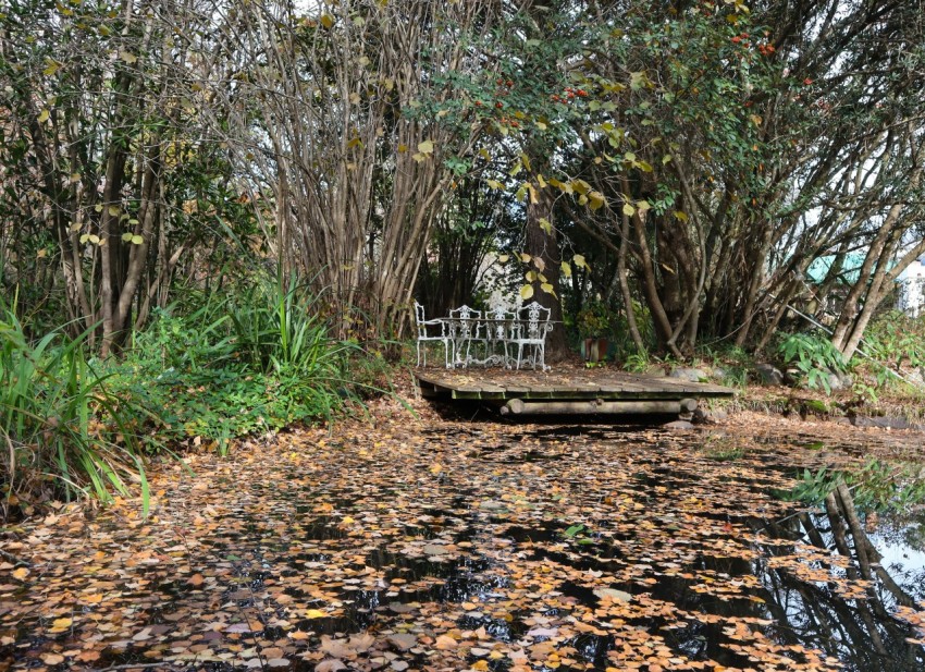 a bench sitting in the middle of a forest