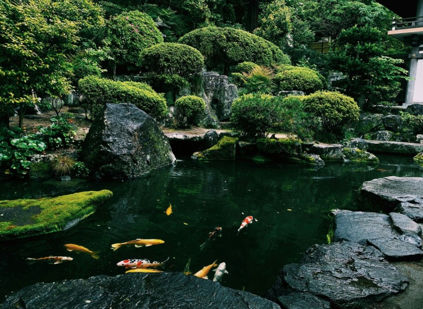 a small pond surrounded by rocks and trees