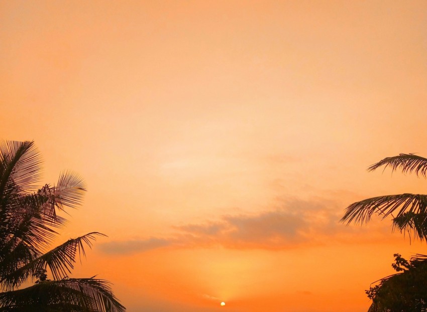 the sun is setting behind some palm trees