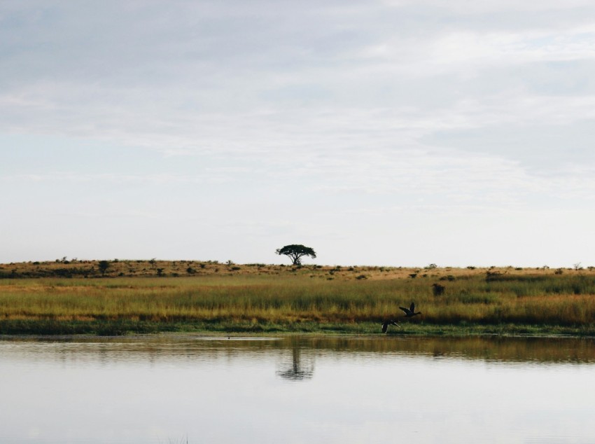 a large body of water sitting next to a lush green field