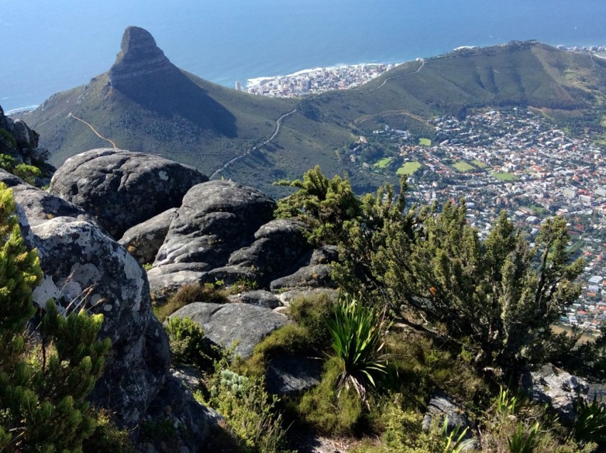 a view of the city of cape town from the top of a mountain