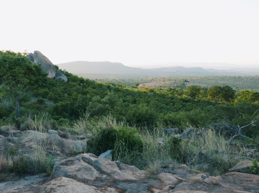 a view of a rocky hillside with trees and mountains in the distance RK zj4dqz