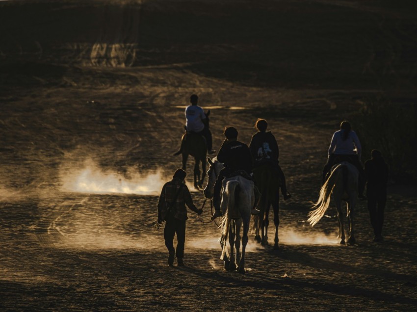 a group of people riding on the backs of horses