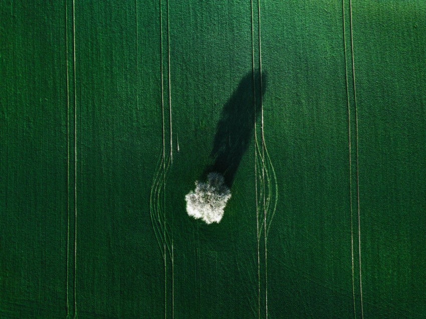 aerial photo of green grass field