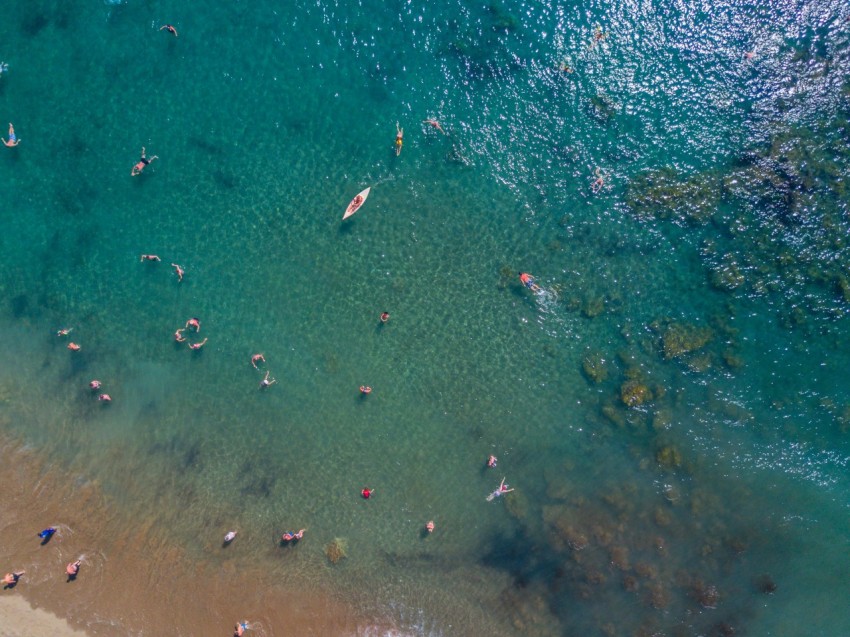 birds eye photography of people swimming in ocean