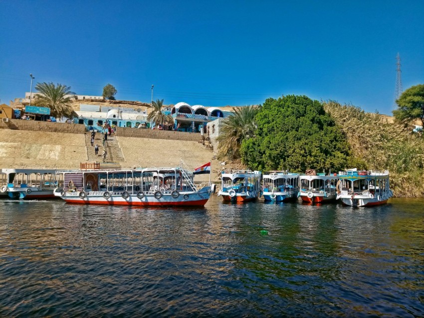 boats on the water