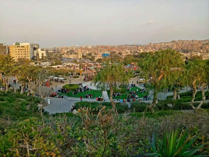 a view of a park in the middle of a city