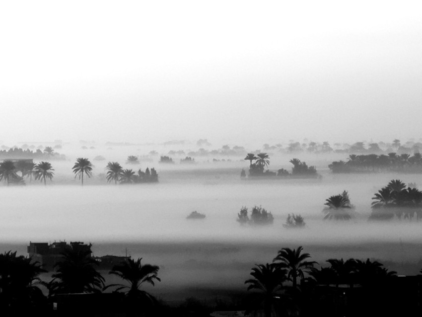 grayscale photo of body of water uiU