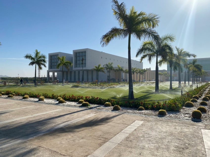 a large white building surrounded by palm trees  n