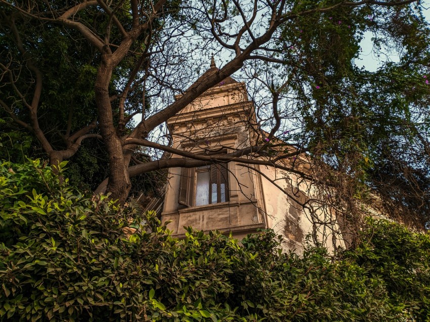 a tall building with a clock on the top of it