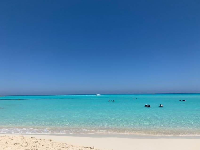 people on beach during daytime