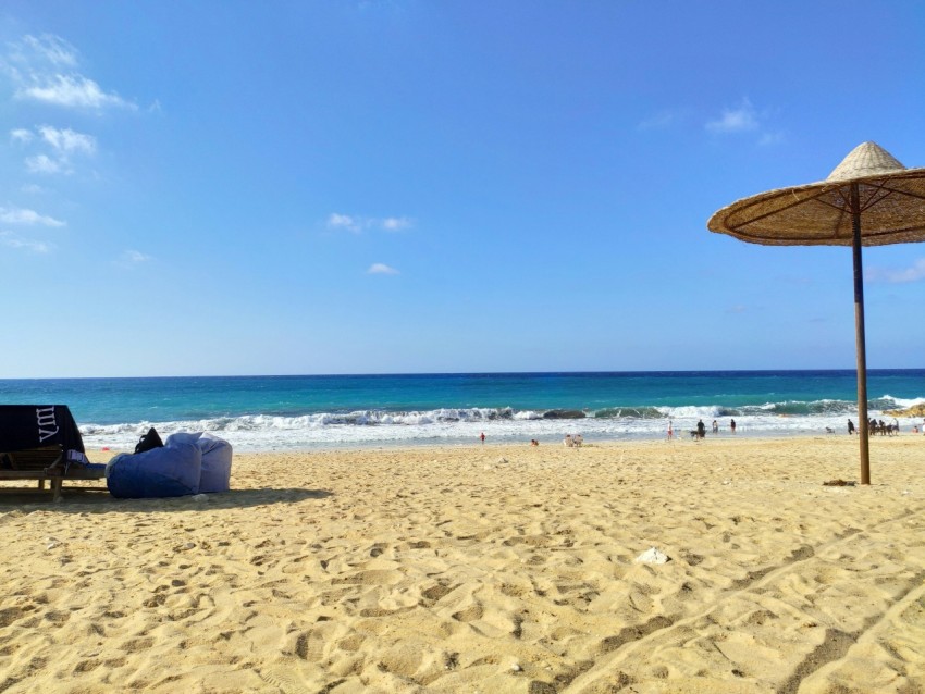 a beach with people and umbrellas