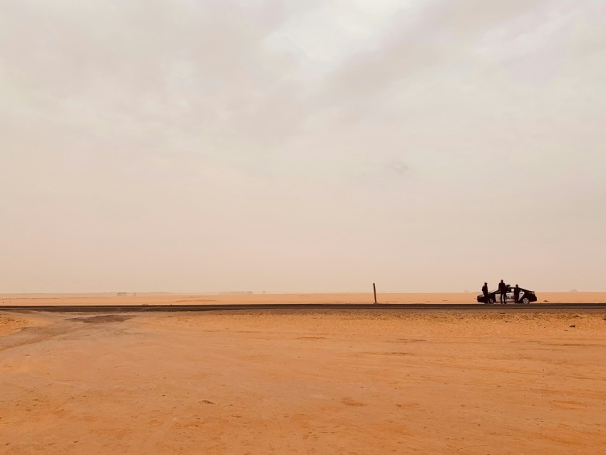 people on beach during daytime i_ye7