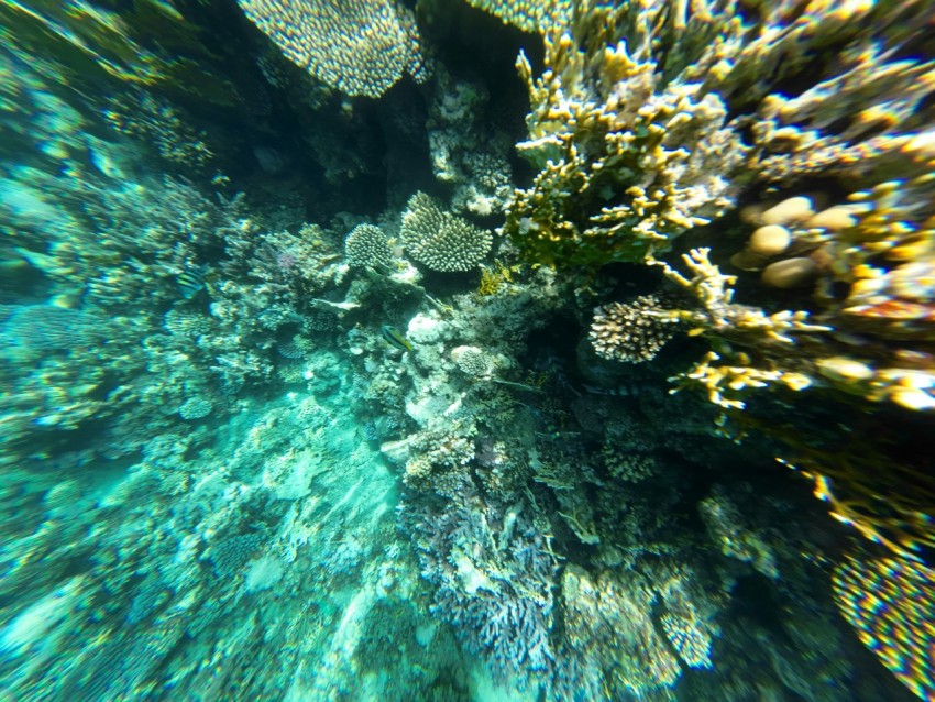 underwater view of a large rock