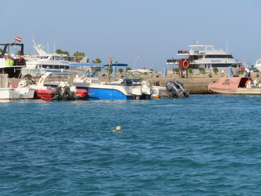 boats in the water