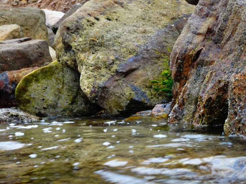 a river with rocks and grass