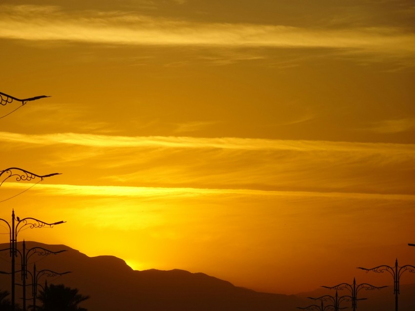 a sunset with trees